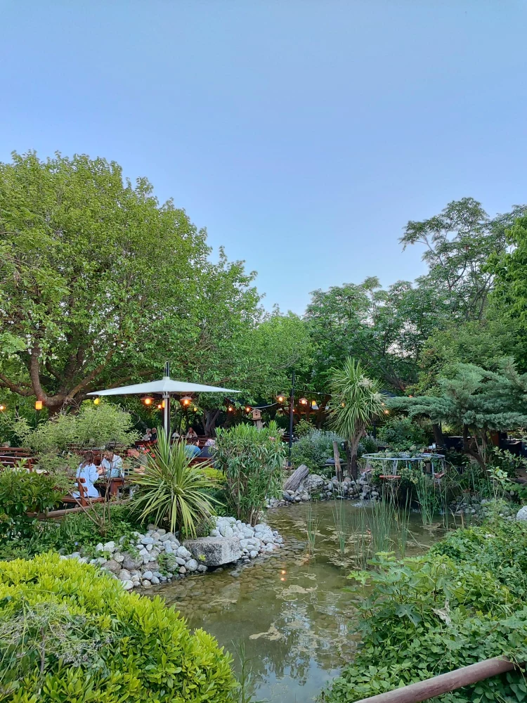 Y�r�k Urla Atmosfer 10