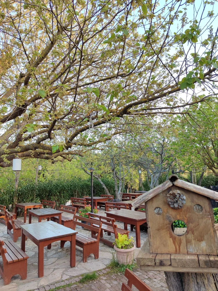 Y�r�k Urla Atmosfer 11