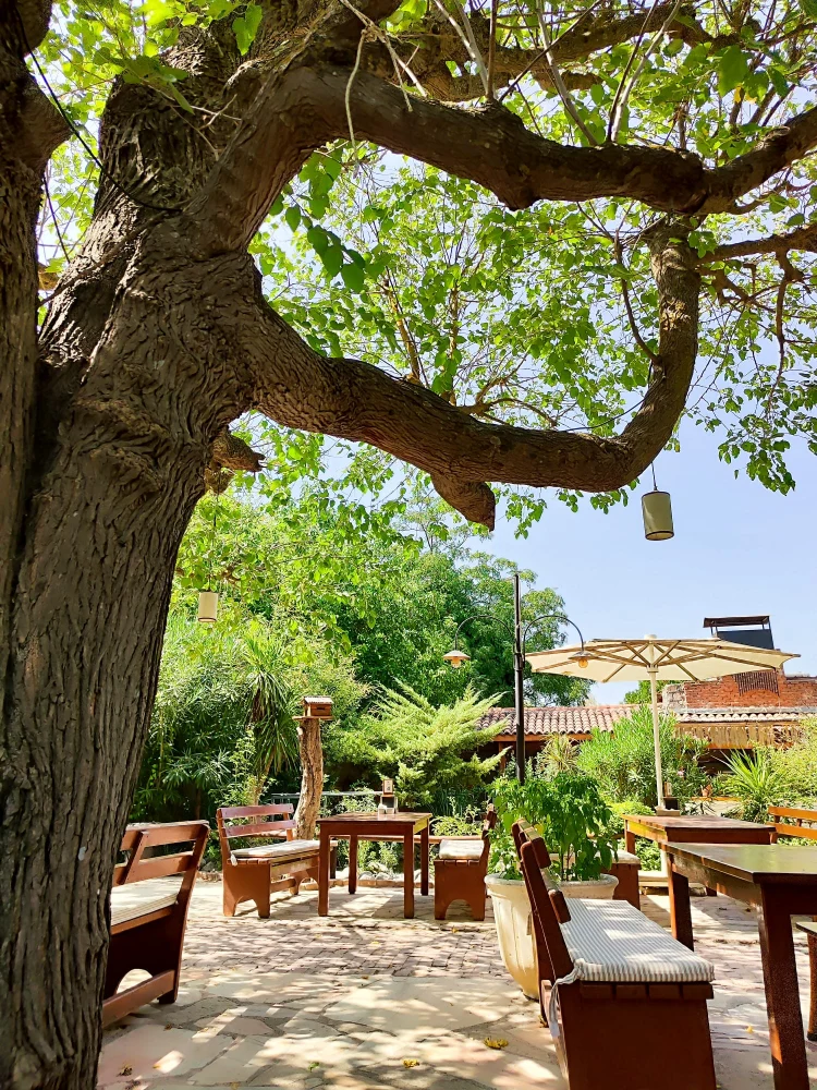 Y�r�k Urla Atmosfer 13