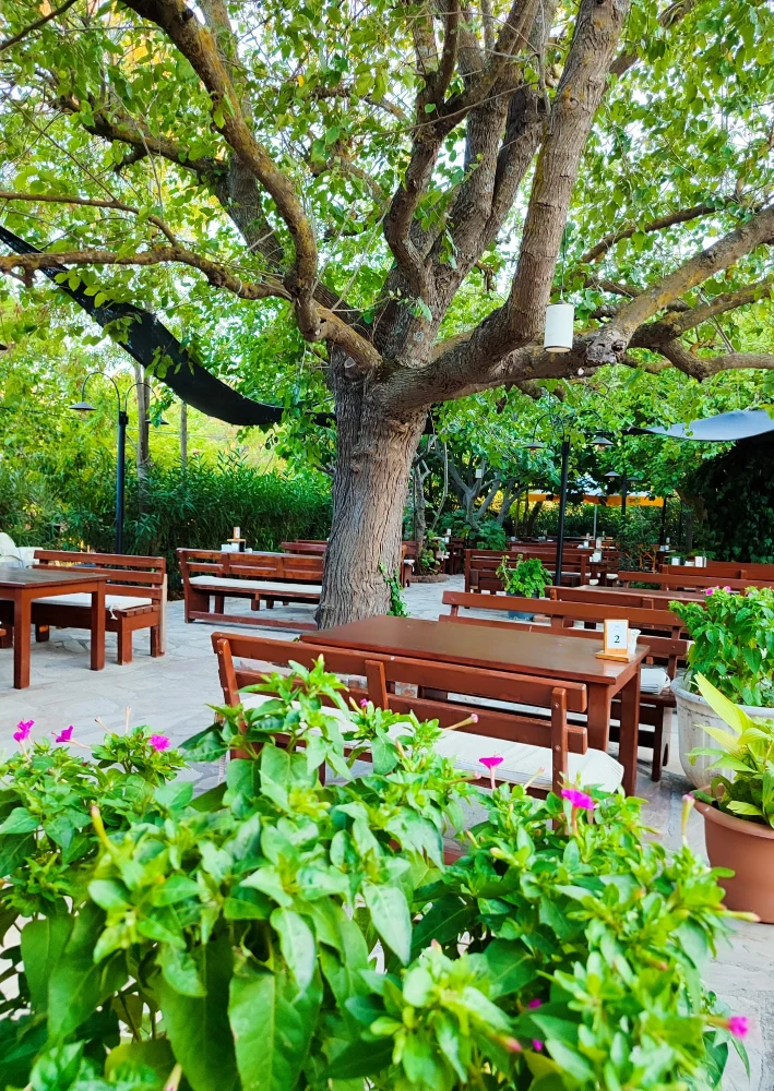 Y�r�k Urla Atmosfer 14