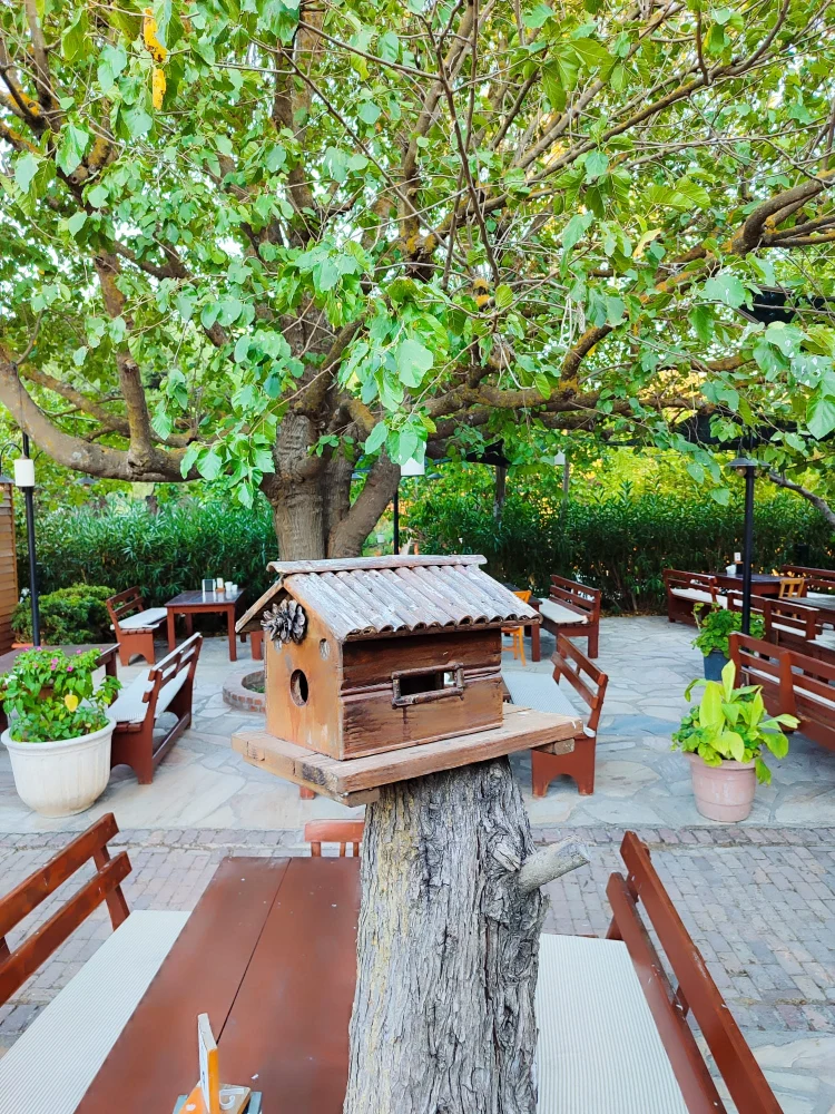 Y�r�k Urla Atmosfer 15