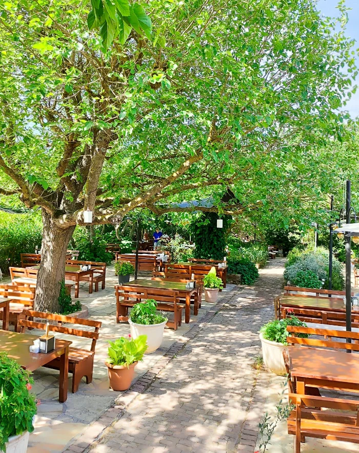 Y�r�k Urla Atmosfer 16