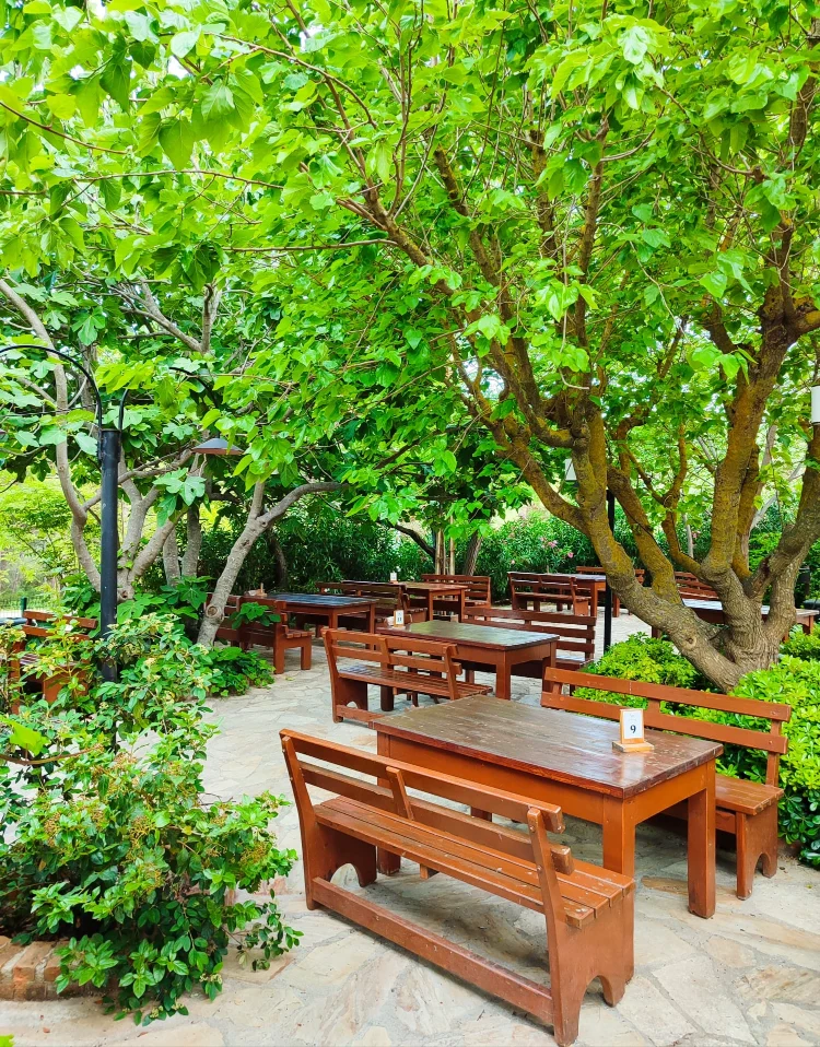 Y�r�k Urla Atmosfer 19