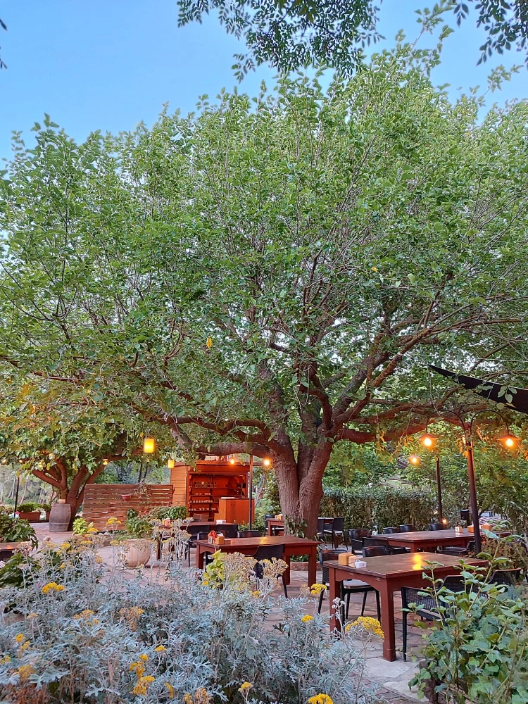 Y�r�k Urla Atmosfer 2