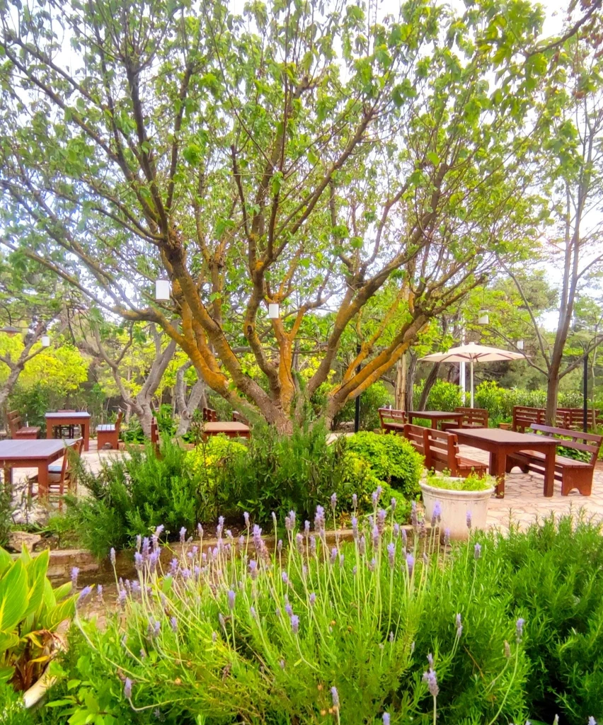 Y�r�k Urla Atmosfer 22