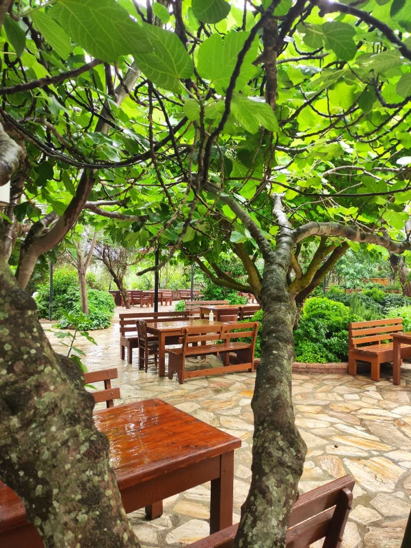 Y�r�k Urla Atmosfer 24