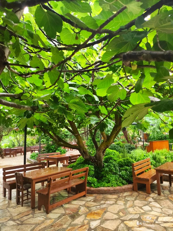 Y�r�k Urla Atmosfer 25