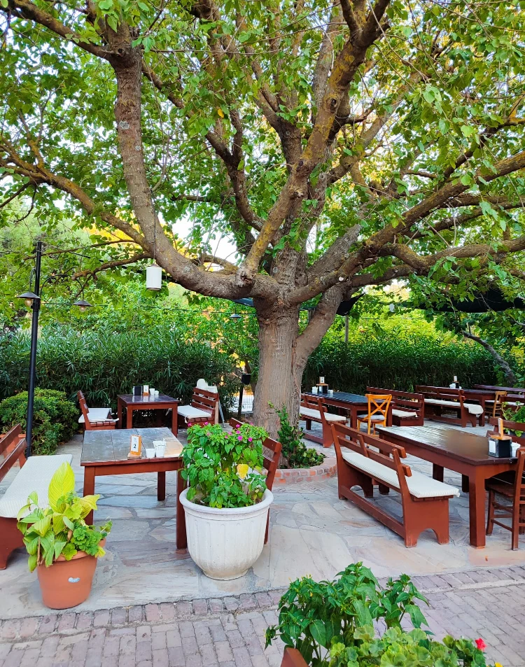 Y�r�k Urla Atmosfer 26