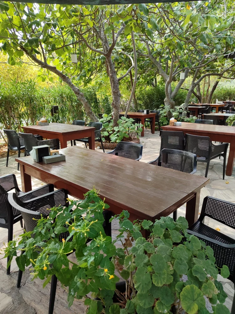 Y�r�k Urla Atmosfer 33