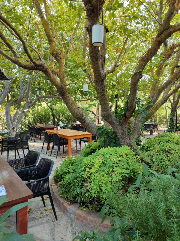 Y�r�k Urla Atmosfer 34