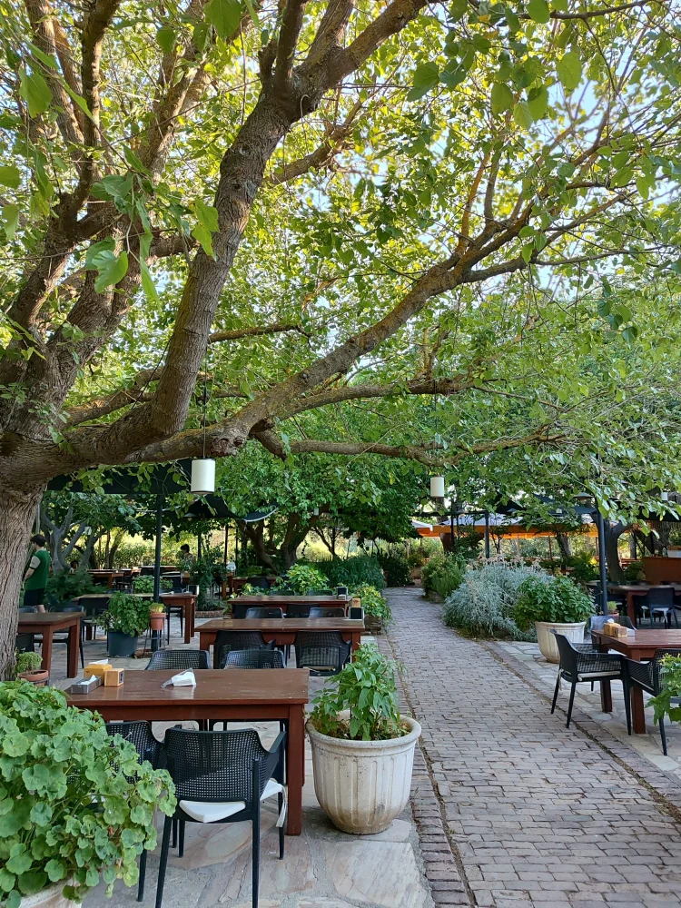 Y�r�k Urla Final 35