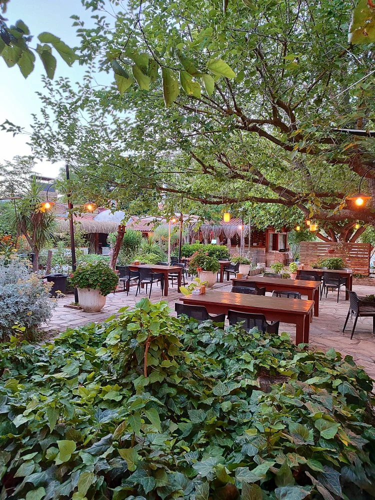 Y�r�k Urla Atmosfer 4