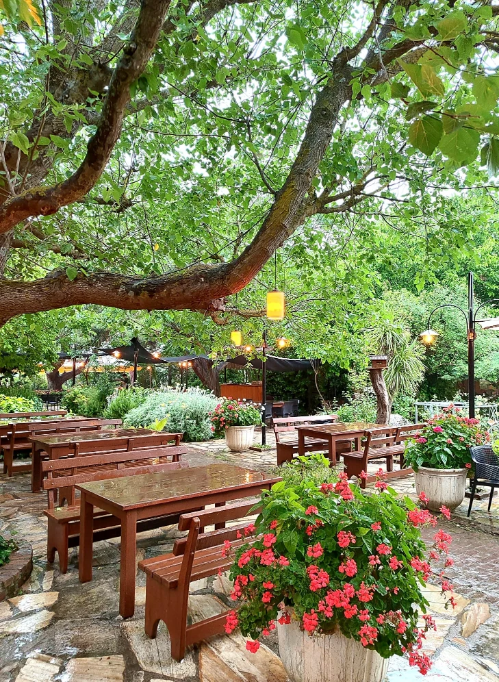 Y�r�k Urla Atmosfer 7