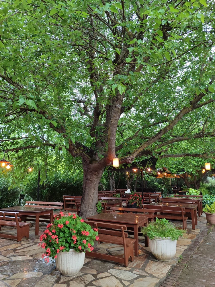 Y�r�k Urla Atmosfer 9